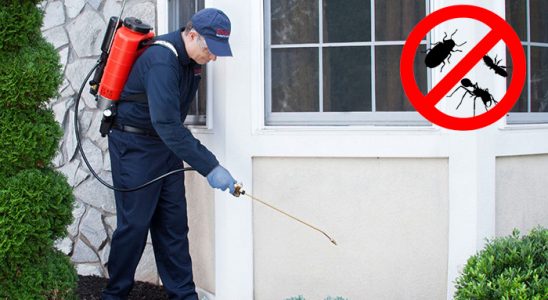Pazarlar Böcek İlaçlama böcek ilaçlama ve haşere kontrolü — ilaclama-tr.com